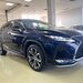 Lexus Seria RX